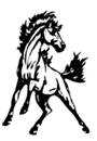 Caballo Logo.jpg